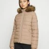Hollister Co. CORE PUFFER - Winterjacke - Ginger Snap | Damen -Hollister Geschäft 26b5afdde71046a391fad8d466fb7d54