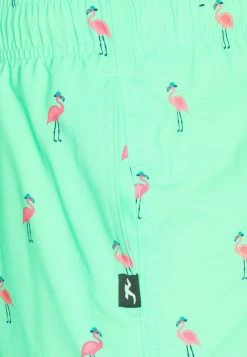 Hollister Co. CONVERSATIONAL GUARD - Badeshorts - Mint | Herren -Hollister Geschäft 5229bceb07a54b97b8c7b70af851ea61