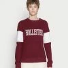 Hollister Co. SECONDARY CORE LOGO - Sweatshirt - Burg | Damen 2 Hollister Co. SECONDARY CORE LOGO - Sweatshirt - Burg | Damen -Hollister Geschäft 55700239a2894627a8a3e939bcb9ea7e