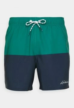 Hollister Co. BLOCKING GUARD - Badeshorts - Green/black | Herren