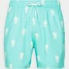 Hollister Co. WEBEX CONVO GUARD - Badeshorts - Mint | Herren -Hollister Geschäft 7c745879ddd34095b2add0cde48ce94c