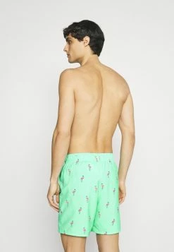 Hollister Co. CONVERSATIONAL GUARD - Badeshorts - Mint | Herren