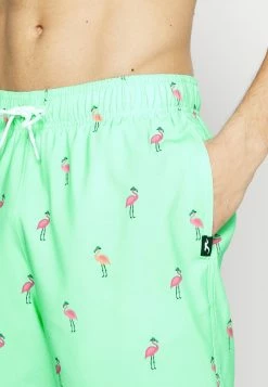 Hollister Co. CONVERSATIONAL GUARD - Badeshorts - Mint | Herren -Hollister Geschäft c10036d736234e4487664c4031490d3a