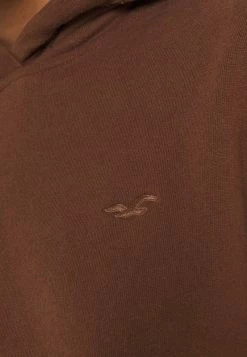 Hollister Co. RAGLAND ICON - Sweatshirt - Dark Brown | Damen -Hollister Geschäft c3668429ae4f40918855931ff72b97a6