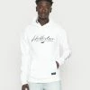 Hollister Co. LARGE SCALE SCRIPT - Sweatshirt - Birch | Herren -Hollister Geschäft c722c1f4ca5440cea35aff233b28b25e