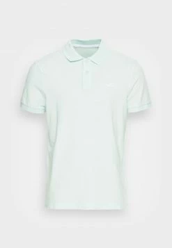 Hollister Co. Poloshirt - Mint | Herren -Hollister Geschäft d83858cb522a467ea0dab07cb304754a