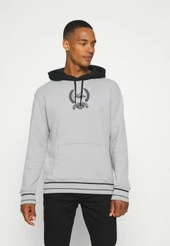 Hollister Co. CREST BLOCKED - Sweatshirt - Flat Grey Blocking | Herren
