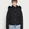 Hollister Co. ALL WEATHER - Winterjacke - Black | Damen -Hollister Geschäft e220da6fd5094bd3b03ba1d4891d6ec8