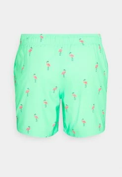 Hollister Co. CONVERSATIONAL GUARD - Badeshorts - Mint | Herren -Hollister Geschäft edfb4f839fa54d6aa493e7196a691a35