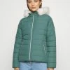 Hollister Co. CORE PUFFER - Winterjacke - Silver Pine | Damen -Hollister Geschäft fb3ce8c9cc0647d8b4bb91360898f51f