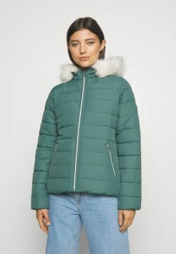 Hollister Co. CORE PUFFER - Winterjacke - Silver Pine | Damen